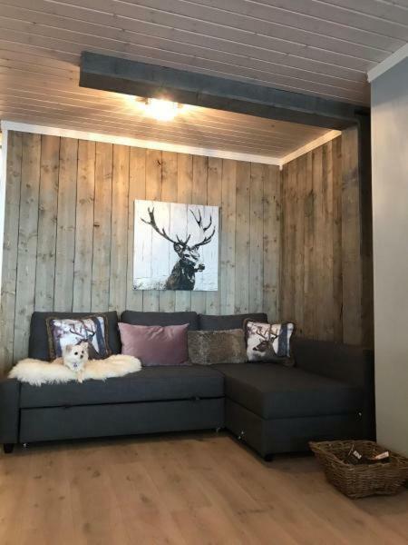 Kvamseter Lodge - Mountain Apartments Norheimsund Zewnętrze zdjęcie